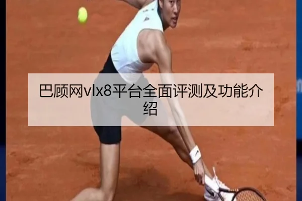 巴顾网vlx8平台全面评测及功能介绍
