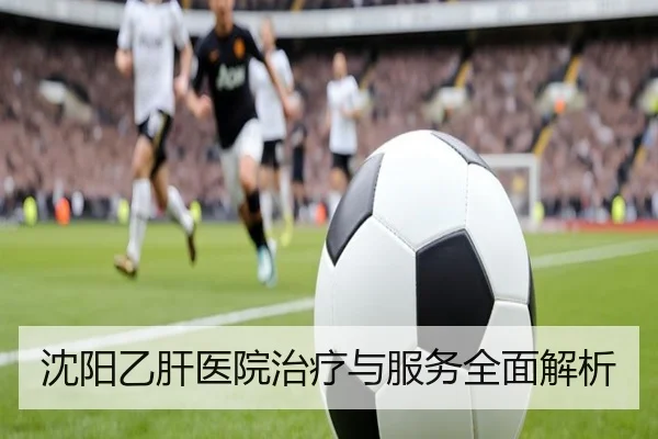 沈阳乙肝医院治疗与服务全面解析
