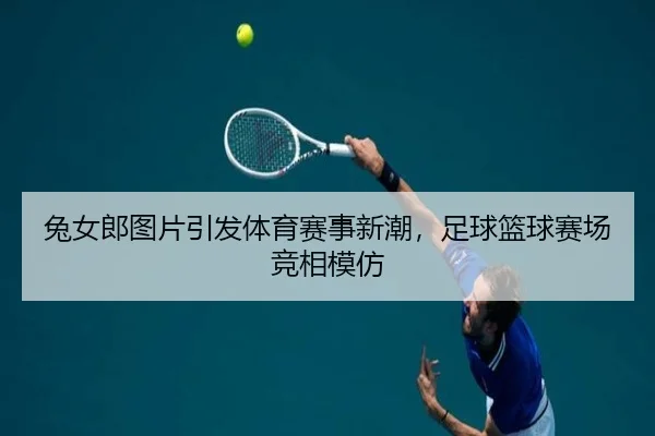 兔女郎图片引发体育赛事新潮，足球篮球赛场竞相模仿